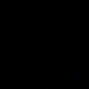 Meet your Posher, Noe